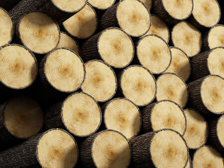 Wood logs stackの写真素材