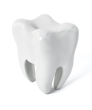 Isolated toothの写真素材