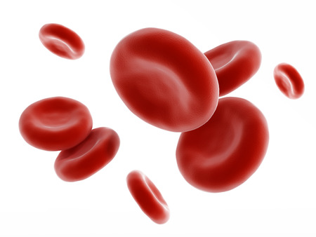 Red blood cell isolated on white backgroundの写真素材