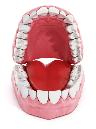 Artificial teeth and lung model isolated on white background. 3D illustration.