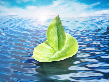 Green leaves forming a ship floating on sea level. 3D illustration.の写真素材