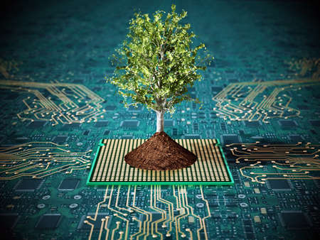 Tree with green leaves with soil standing on PCB. 3D illustration.の写真素材
