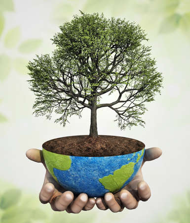 Hands holding an oak tree planted on a globe. Sustainability concept. 3D illustration.