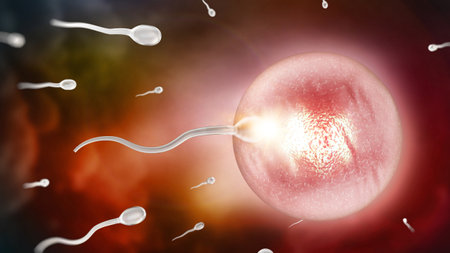 Sperms and ovule. Fertilization - new beginnings concept. 3D illustration.の写真素材