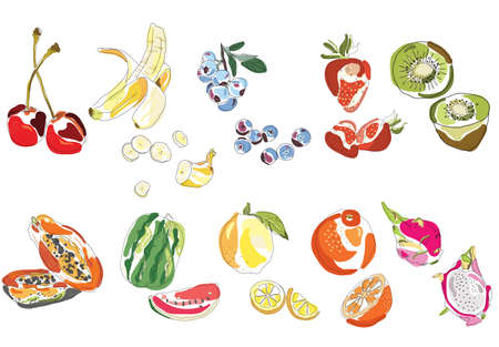 Set of vector hand drawn stylized fruits. 10 different fruits and berries.のイラスト素材