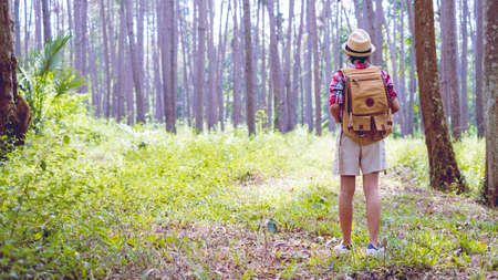 Young girl at pine forest wear hat and red shirt at Phu Pha Man Khonkaen Thailand.の写真素材