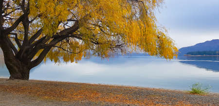 Panorama view landscape view at Wanaka lake New zealand in autumn.の写真素材