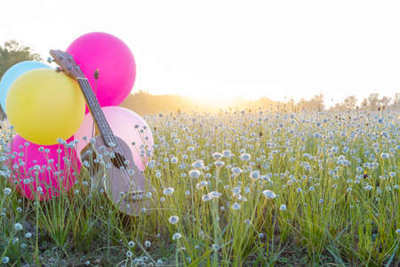 Ukulele put at field flower grass with balloons with beautiful light.の写真素材