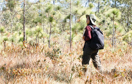 Traveler girl with backpack at the pine tree forest .の写真素材