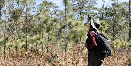 Traveler girl with backpack at the pine tree forest .の写真素材