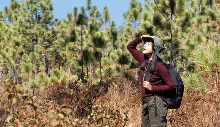 Traveler girl with backpack at the pine tree forest .の写真素材