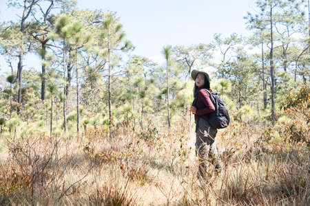 Traveler girl with backpack at the pine tree forest .の写真素材