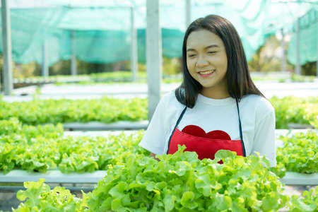 Beautiful Young girl working in hydroponic system vegetables organic small lettuce farm.の写真素材