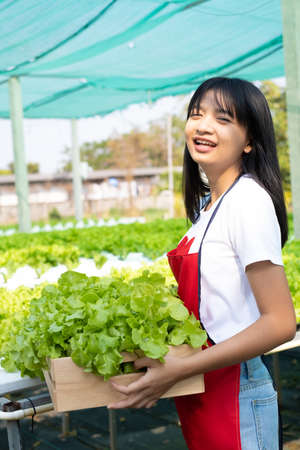 Young girl working at hdroponic fram at home,small business.の写真素材