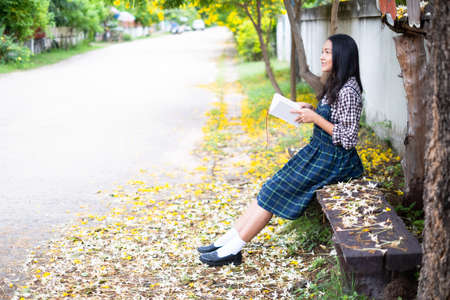 Young girl sitting on a bench reading a book under a beautiful tree.の写真素材