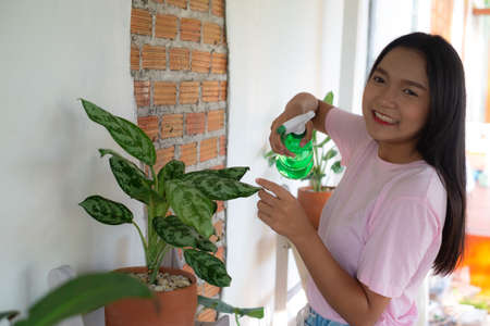 Portrait young girl watering green plants at home, Asian girl.の写真素材