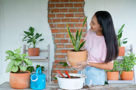 Portrait happy young girl with green plants at home, Asian girl.の写真素材