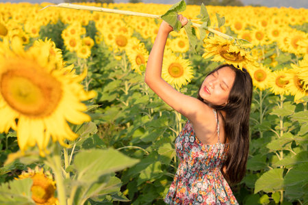 Happy young girl at flower field on summer.の写真素材