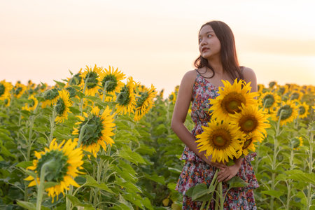 The girl holds a sunflower at the flower field on sunrise time.の写真素材