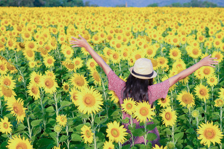 Beautiful young girl standing in the sunflowers field. Vacation time.の写真素材