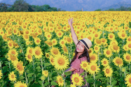 Beautiful young girl standing in the sunflowers field. Vacation time.の写真素材