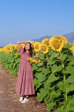 A happy young girl walking in the sunflower field.の写真素材
