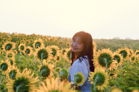 Cute young girl standing in the sunflowers field with blue sky in the morning.の写真素材