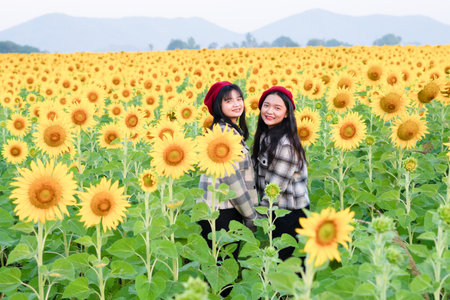 Two young girls playing in the sunflowers field. Summer time.の写真素材