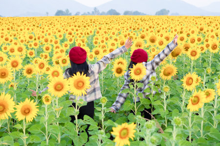 Two young girls playing in the sunflowers field. Summer time.の写真素材