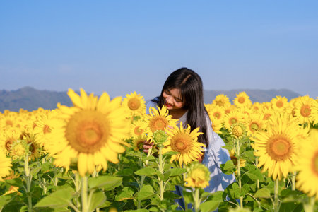 Cute young girl standing in the sunflowers field with blue sky on vacation time.の写真素材