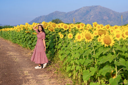 A happy young girl walking in the sunflower field.の写真素材