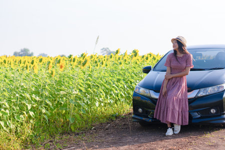 Beautiful young girl standing beside the car in the sunflowers field. Summer time.の写真素材