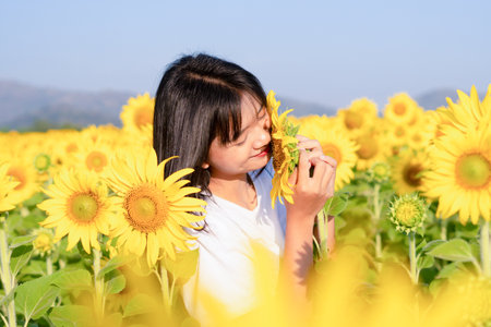 Cute young girl standing in the sunflowers field with blue sky on vacation time.の写真素材