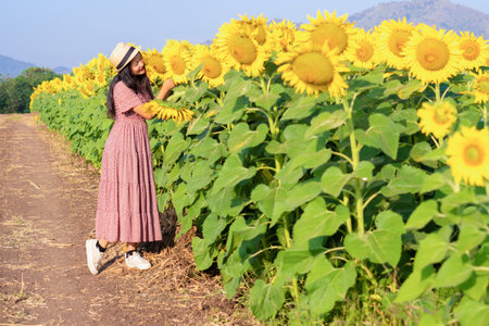 A happy young girl walking in the sunflower field.の写真素材