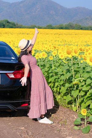 Beautiful young girl standing beside the car in the sunflowers field. Summer time.の写真素材