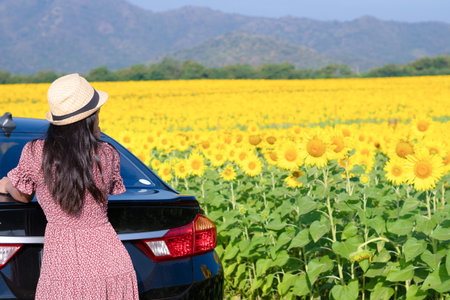 Beautiful young girl standing beside the car in the sunflowers field. Summer time.の写真素材