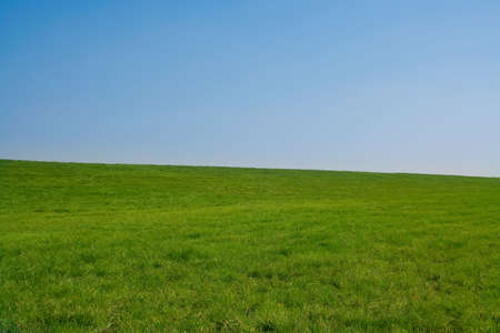 Clear grass hill, minimum processing. Simple, cleanの写真素材