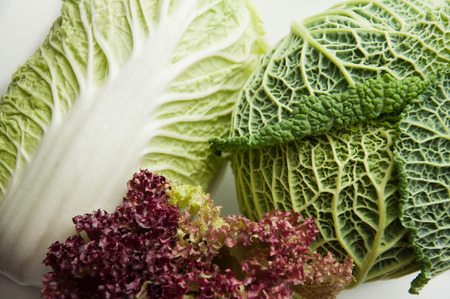 Different greens. Ingredients for salad. Savoy cabbage, lettuce, Peking cabbage. A group of objects on a white background. Dietary nutrition. Healthy food.の写真素材