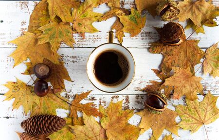Autumn mood. Yellow, oraAutumn mood. Yellow, orange maple leaves on a wooden background and a cup of coffee. A lot of dry leaves and chestnuts, a hot drink, comfort. Natural materialsの写真素材