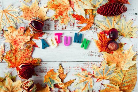 Autumn mood. Yellow, orange maple leaves on a wooden background, letters with the inscription autumn. A lot of dry leaves and chestnuts, a hot drink, comfort. Natural materialsの写真素材