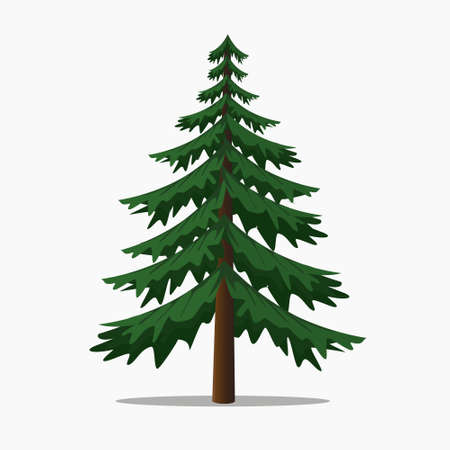 Pine Trees Vector Illustration.isolated Fir and Coniferous Tree.のイラスト素材