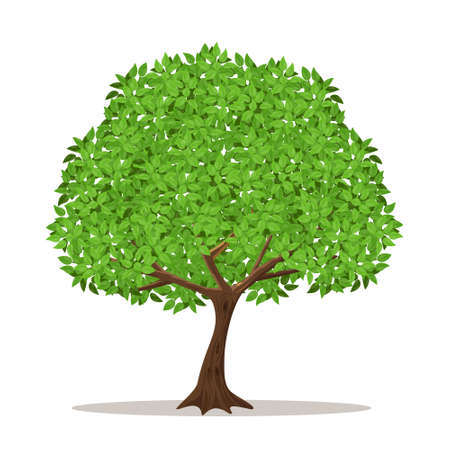 Isolated shade tree on white background.Vector illustration.のイラスト素材