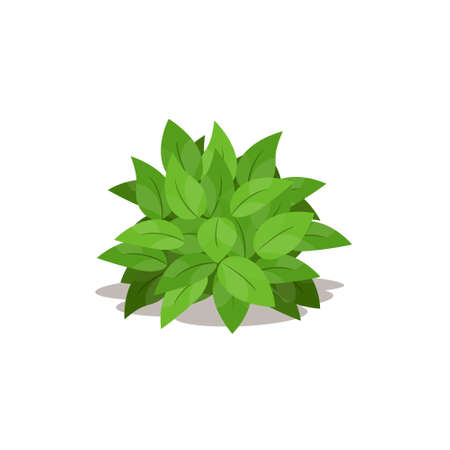 Illustration of green bush.Cartoon of decoration plants.Vector illustration.のイラスト素材