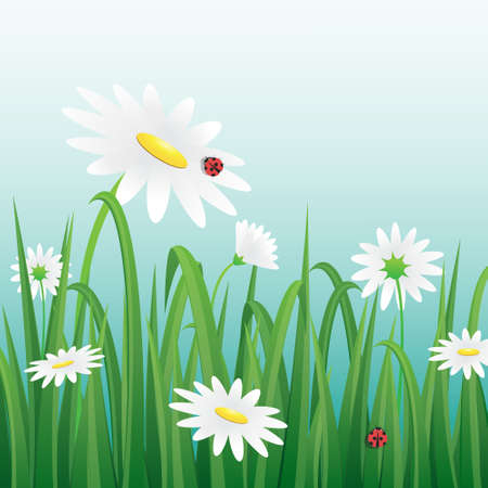 White Flower and ladybugs among the grass.Vector illustration.のイラスト素材