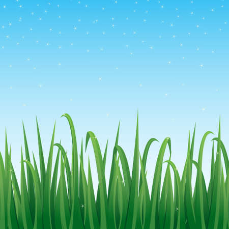 Lush green grass with blue sky background, vector illustration.のイラスト素材