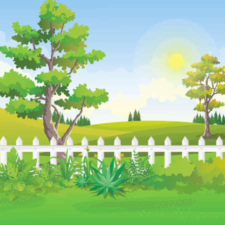 Beautiful scenery of backyard garden with green hills and sunlight over  blue sky. Natural garden vector illustration view.のイラスト素材