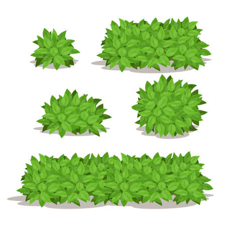 Various Isolated bush set.Different Shape of Bush Vector Illustration.のイラスト素材