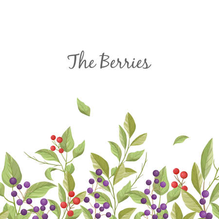 Floral greeting card with leaves, branches and berries in white background.のイラスト素材