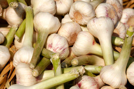 Garlic at the market