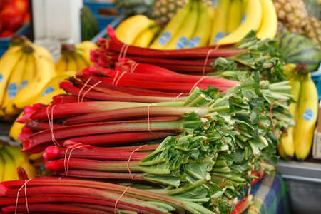 Rubarb and Bananasの写真素材